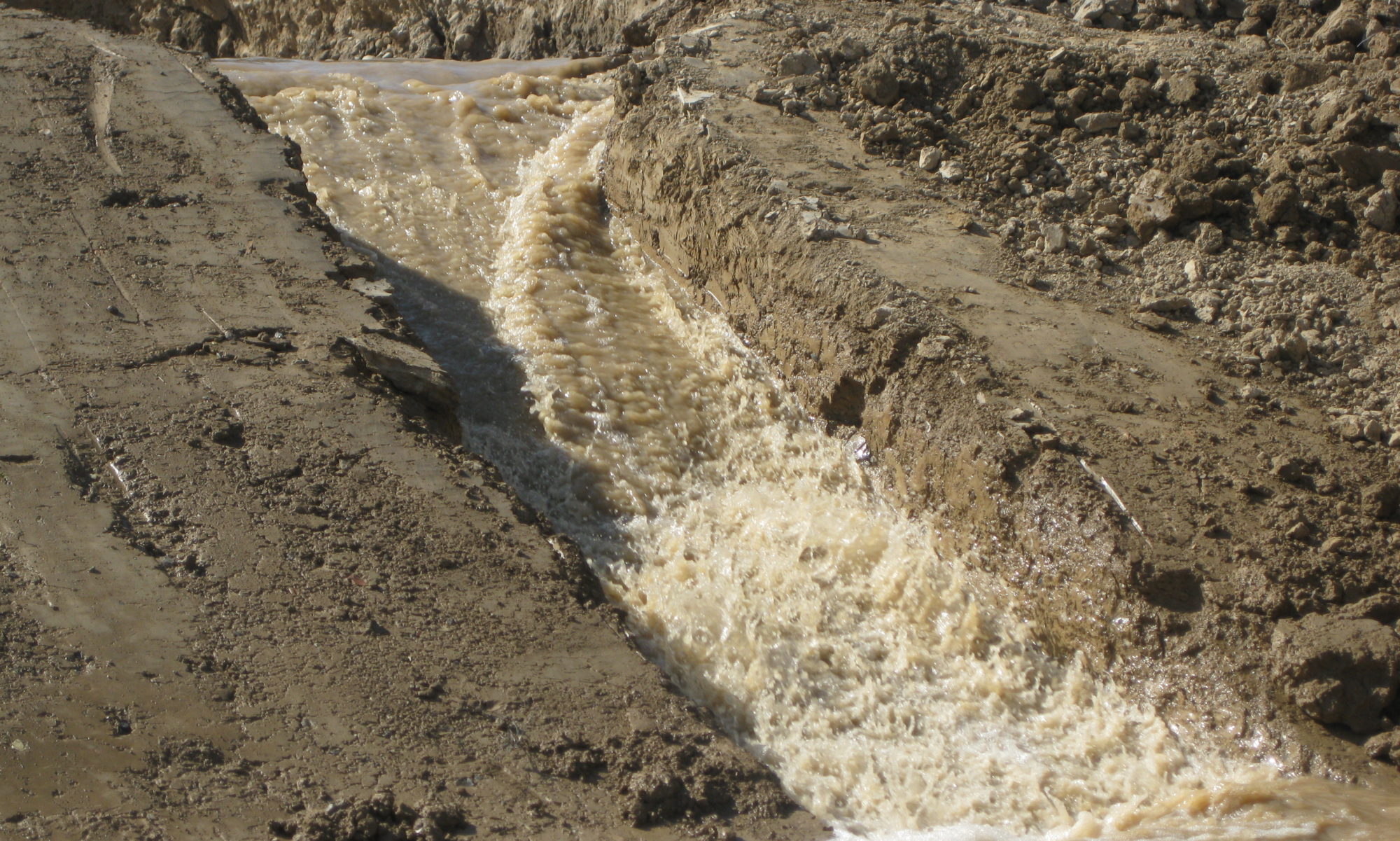 Levee Safety